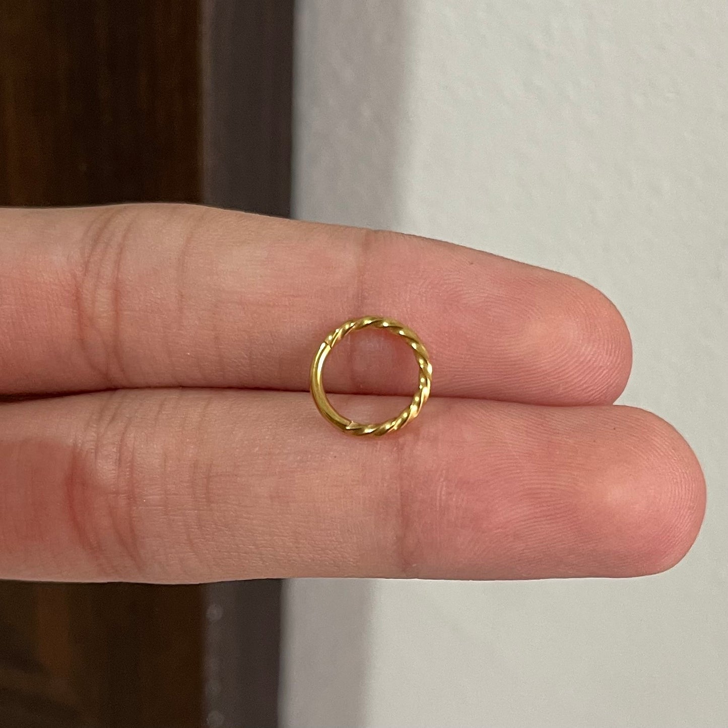 Argola segmentada (Aço inoxidável Gold)