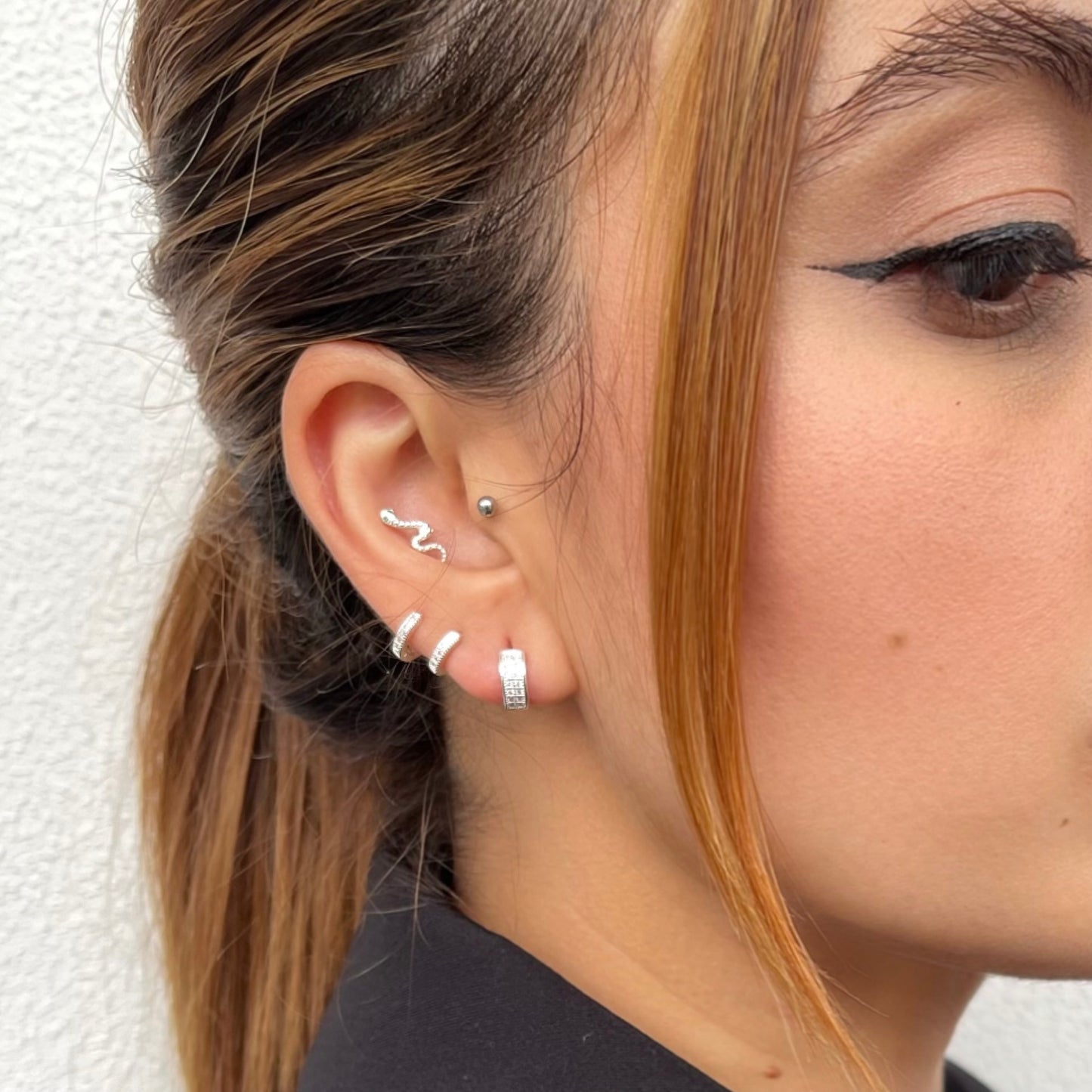 Brinco Argola Cravejada PP