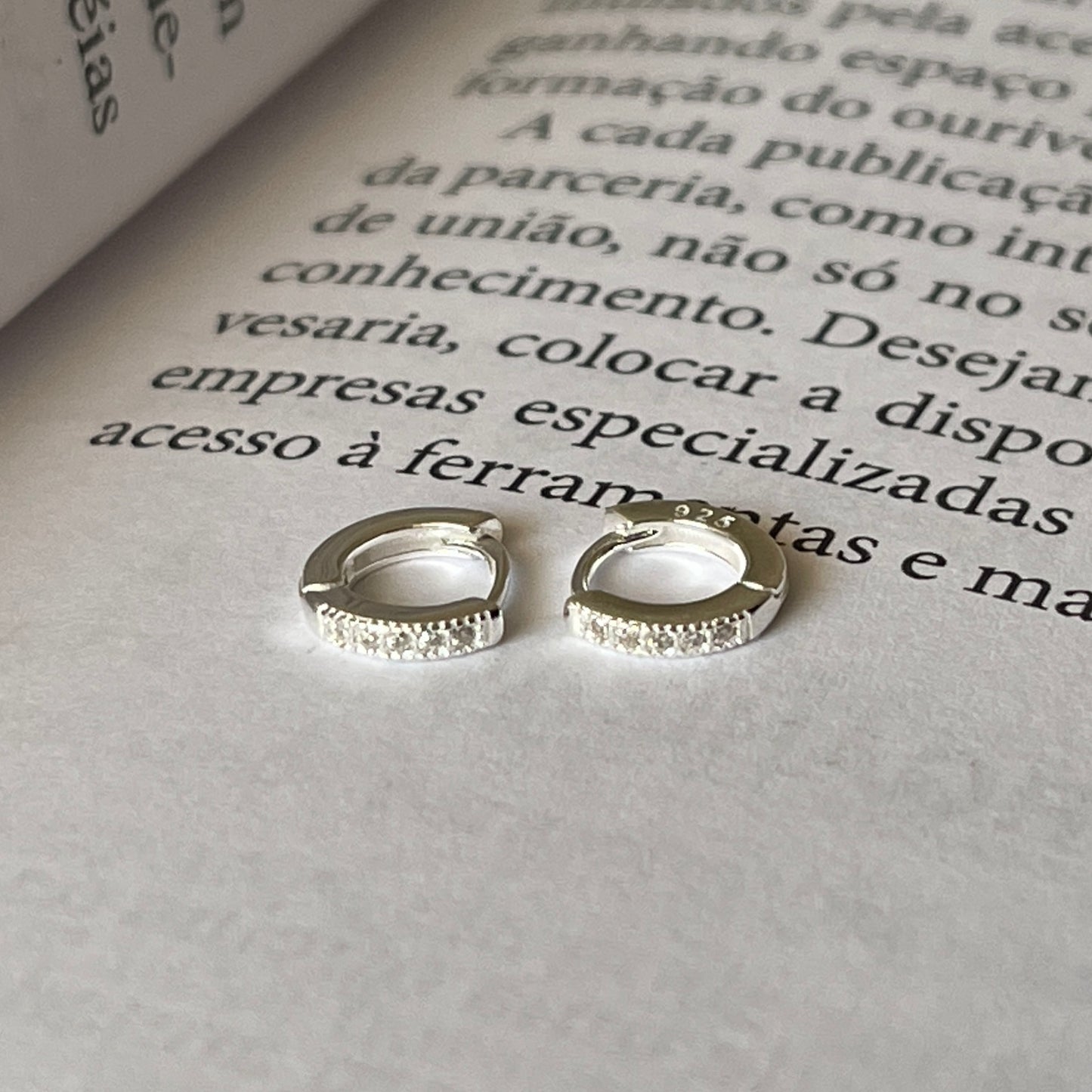 Brinco Argola Cravejada PP